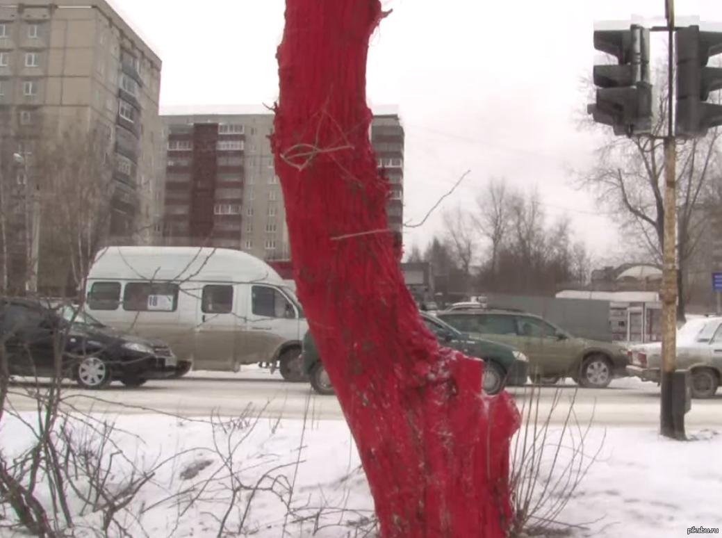 There is snow in Kyiv, but in my city the trees are painted red. - Tree, Red
