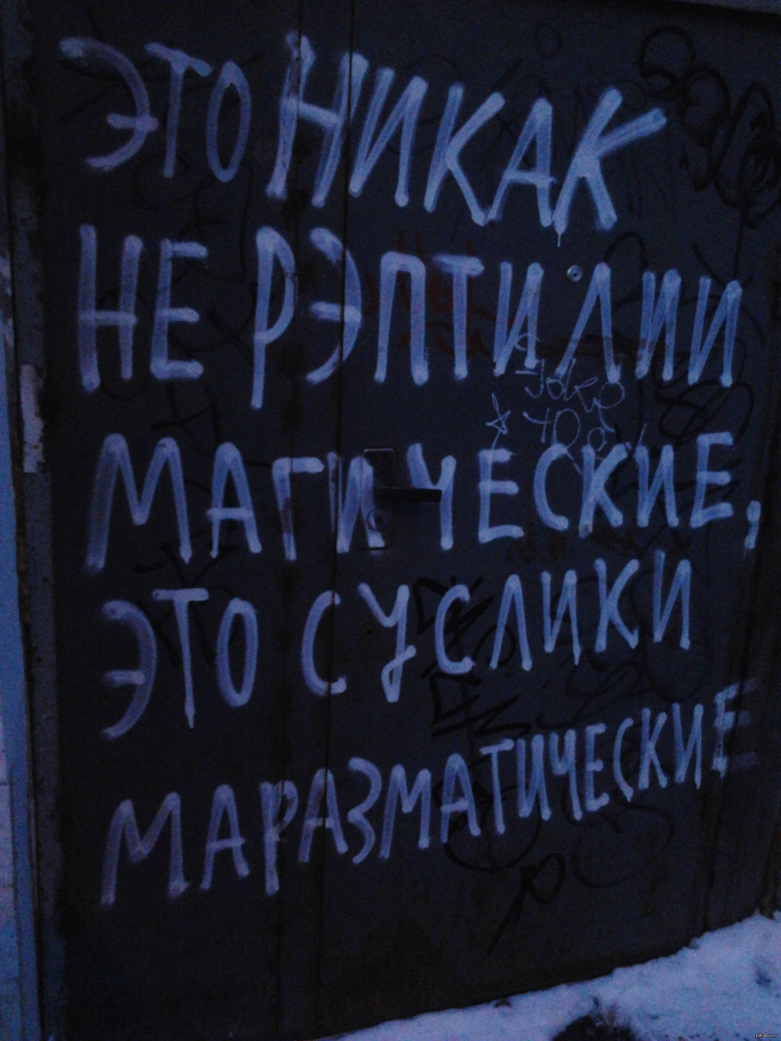 Суслики маразматические... | Пикабу