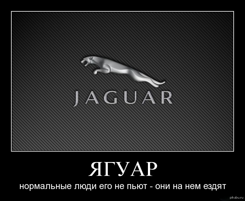 Демотивация. Шутки про Jaguar. Ягуар прикол. Ягуар демотиваторы. Ягуар авто прикол.