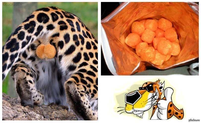 Вкусняшки!, Cheetos, Кот, Честер.