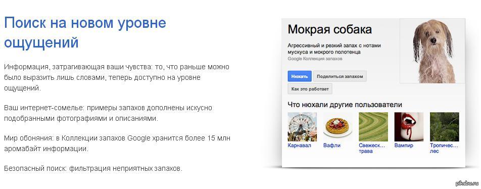 Запах псины от человека причины. Причины вони у собаки изо рта. Запах псины от человека причины. Почему у собаки пахнет изо рта. Интересные факты отсобаках.