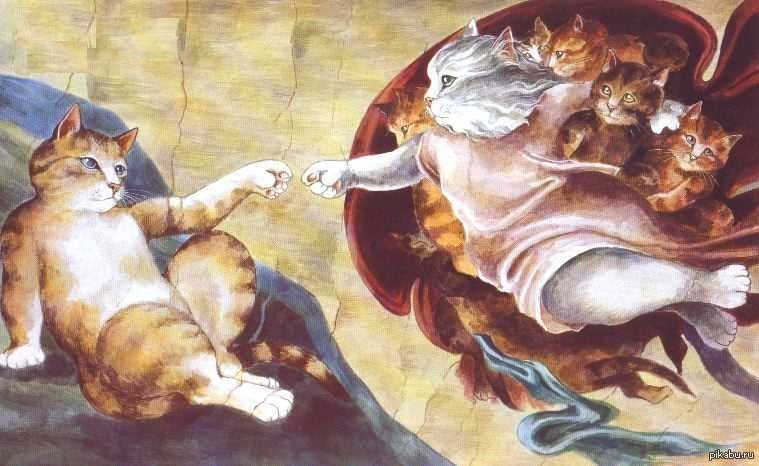 Пародия кошек. Микеланджело Сотворение Адама. Сьюзан Херберт кошка ангел. Сотворение Адама котики. Микеланджело Сотворение кота.