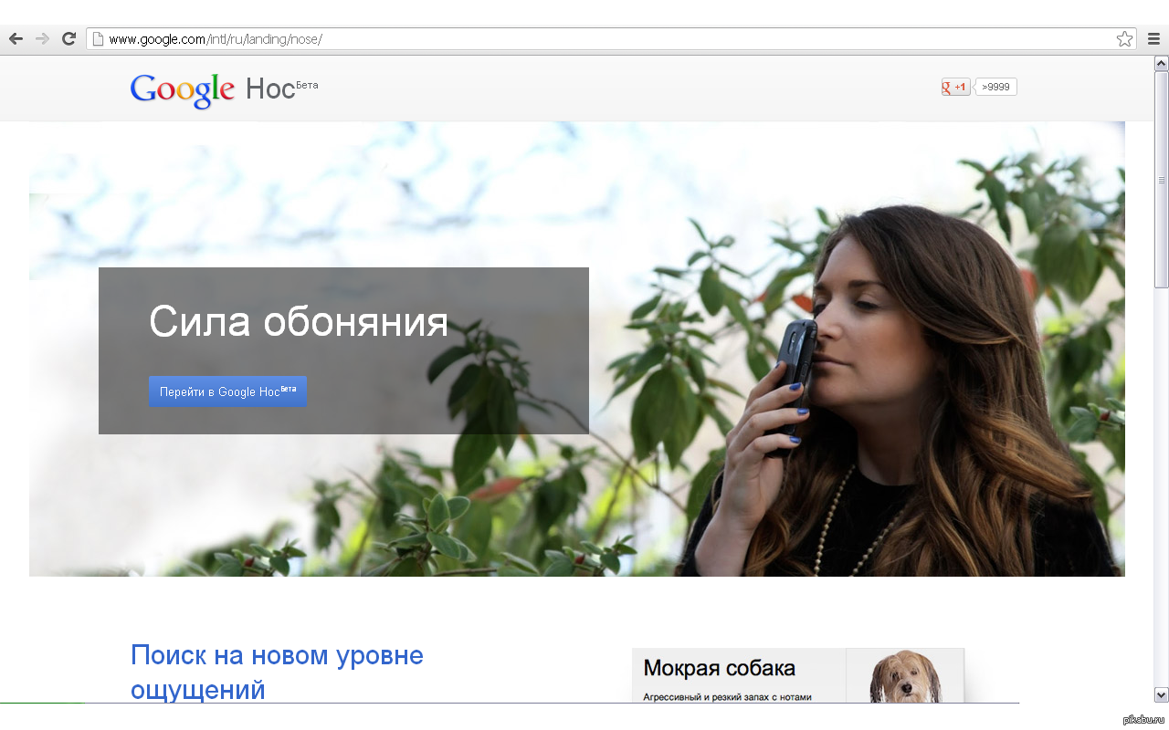 Google - нос. Всех с первым апреля! =) - Моё, 1 апреля, Юмор, Google