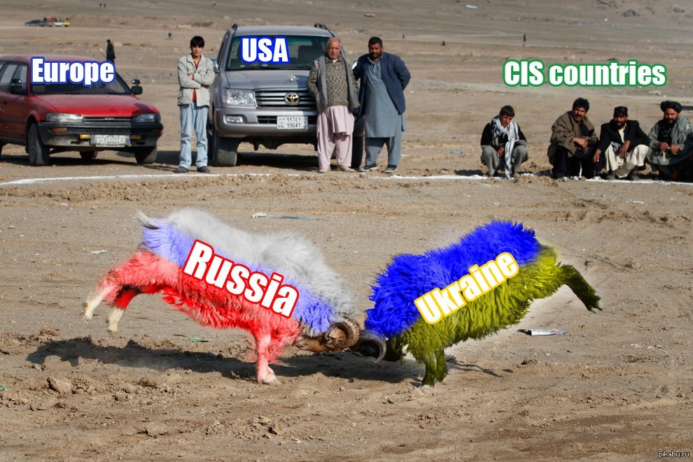 Два барана. | Пикабу