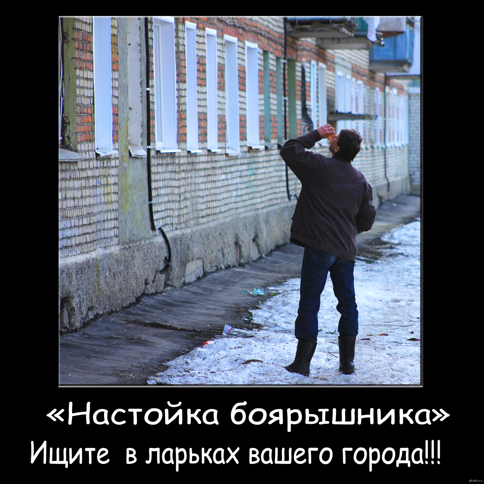Картинка про боярышник прикольные