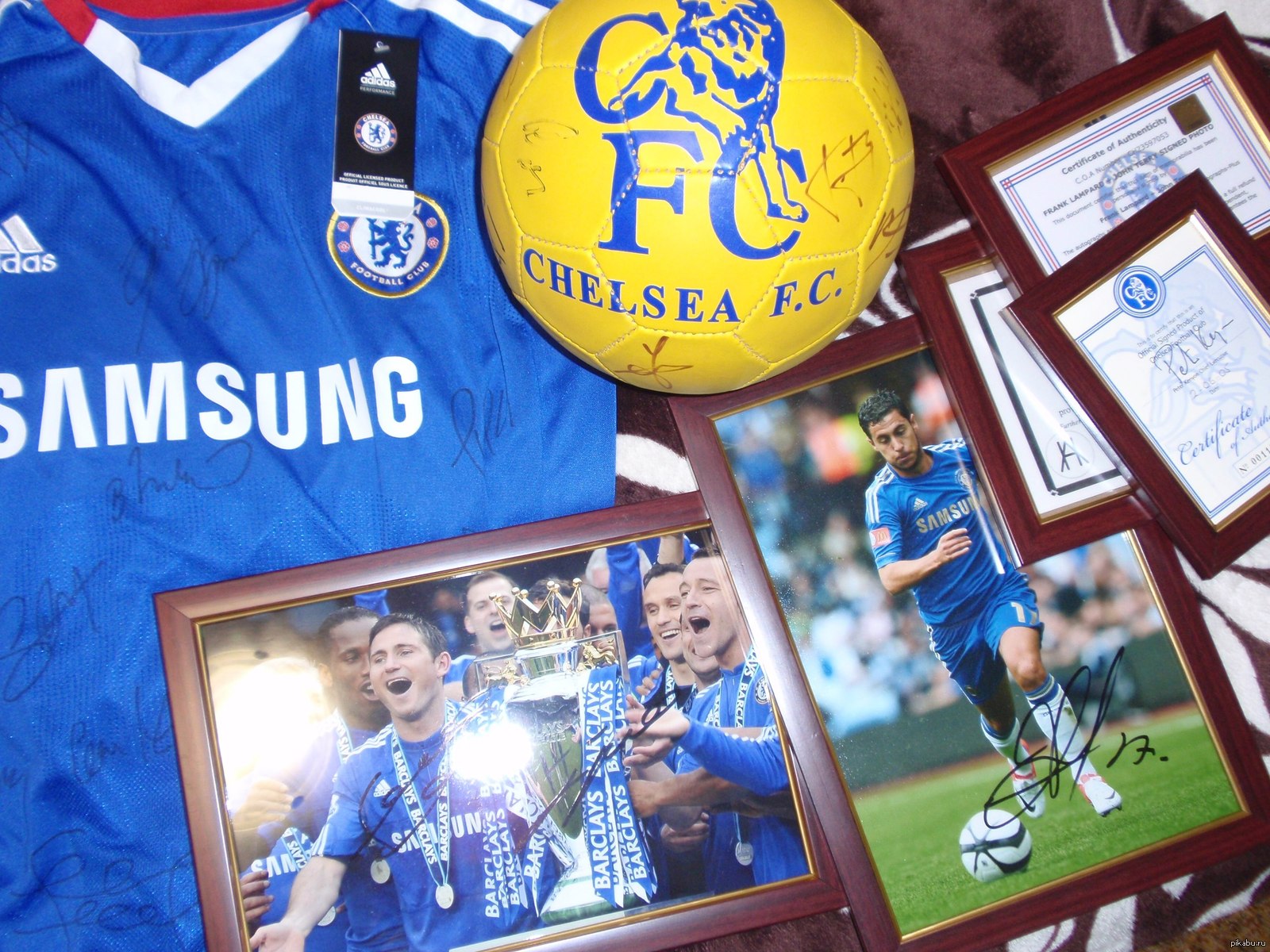 Подпись К Фото Команды — New-Freepik.Ru