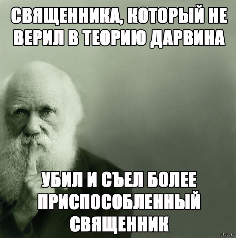 естественный отбор фото онлайн естественный отбор фото