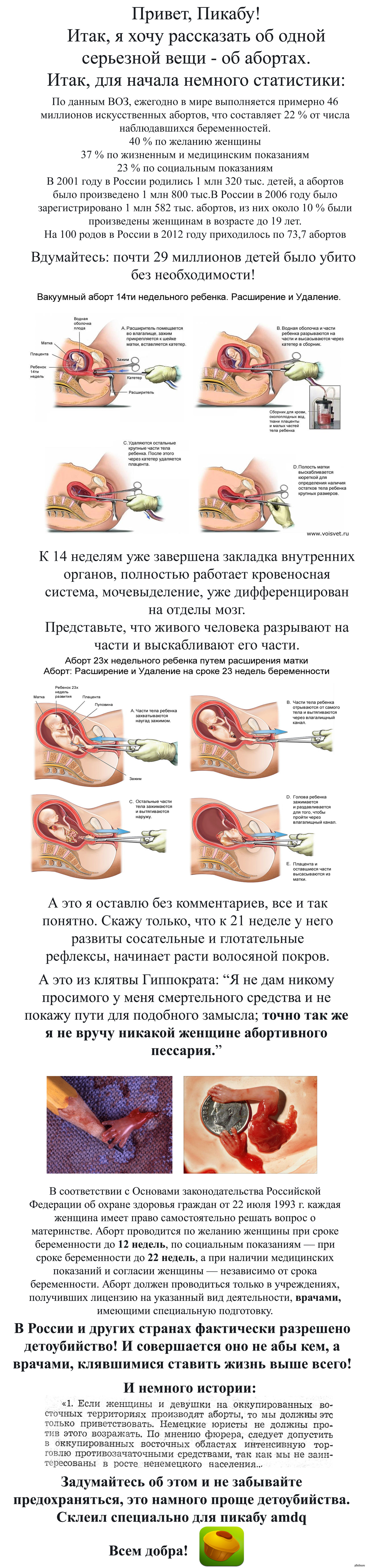 Беременность после аборта в Москве клиника «Гемостаз»