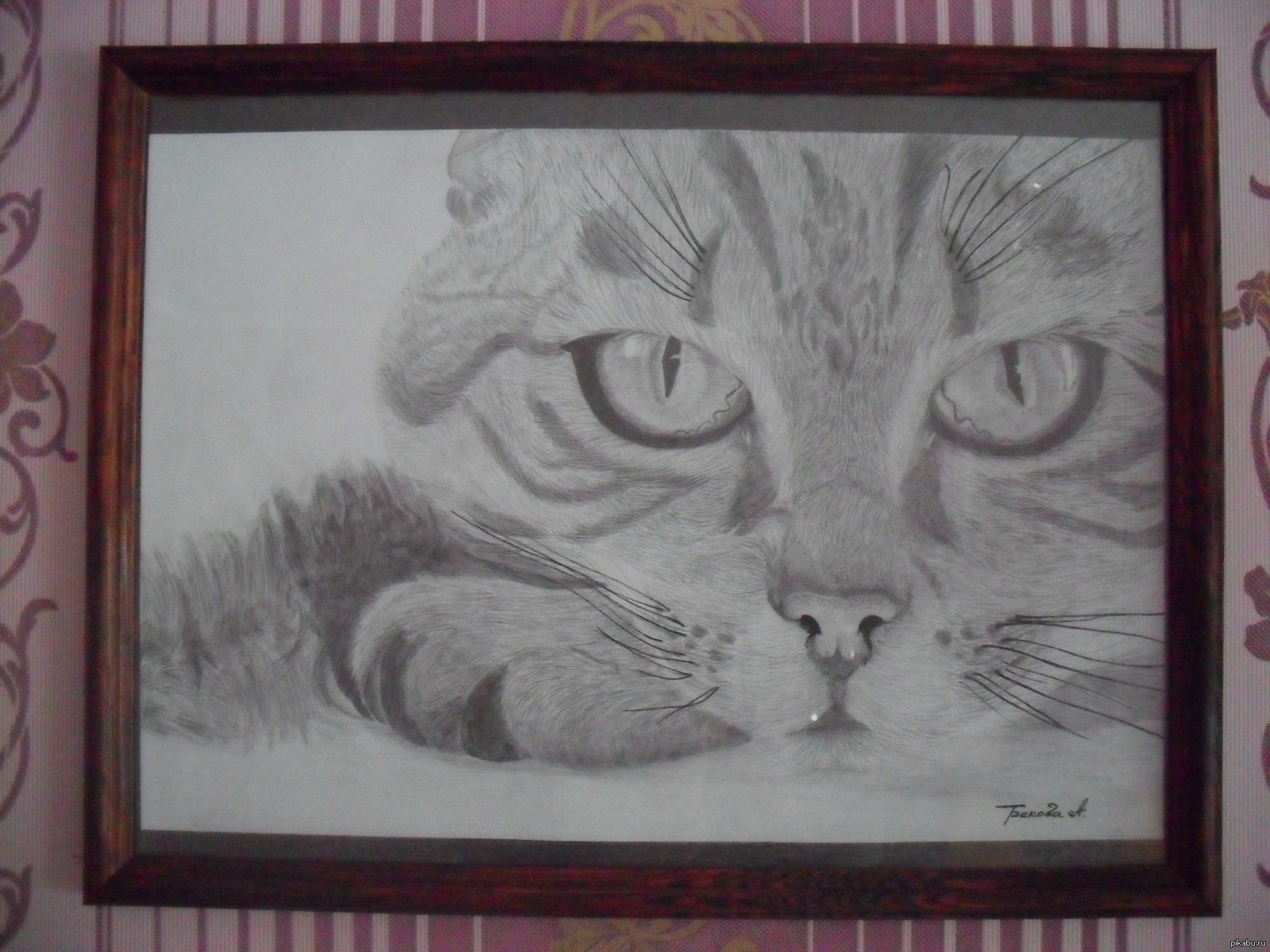 котЭ | Пикабу