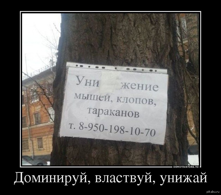 Подчиняясь властвуй. Доминируй властвуй унижай прикол. Доминируй демотиватор. Смешные демотиваторы без матов. Унижение демотиватор.