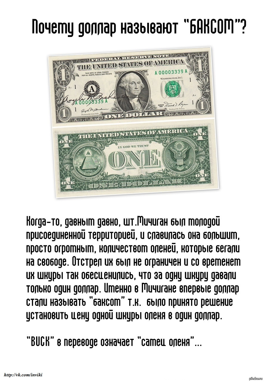 Почему бакс падает. Интересные факты о долларе. Интересное о деньгах. Почему доллар называется долларом. Интересные факты о деньгах.