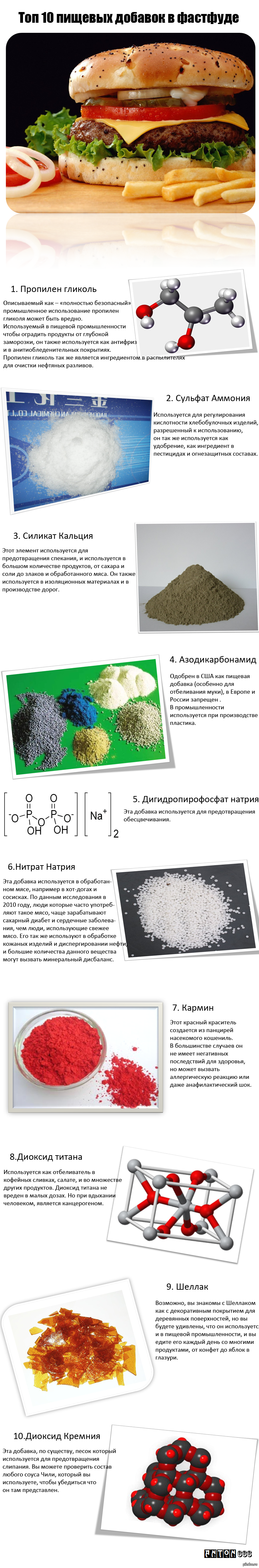 Топ 10 пищевых добавок в фастфуде | Пикабу