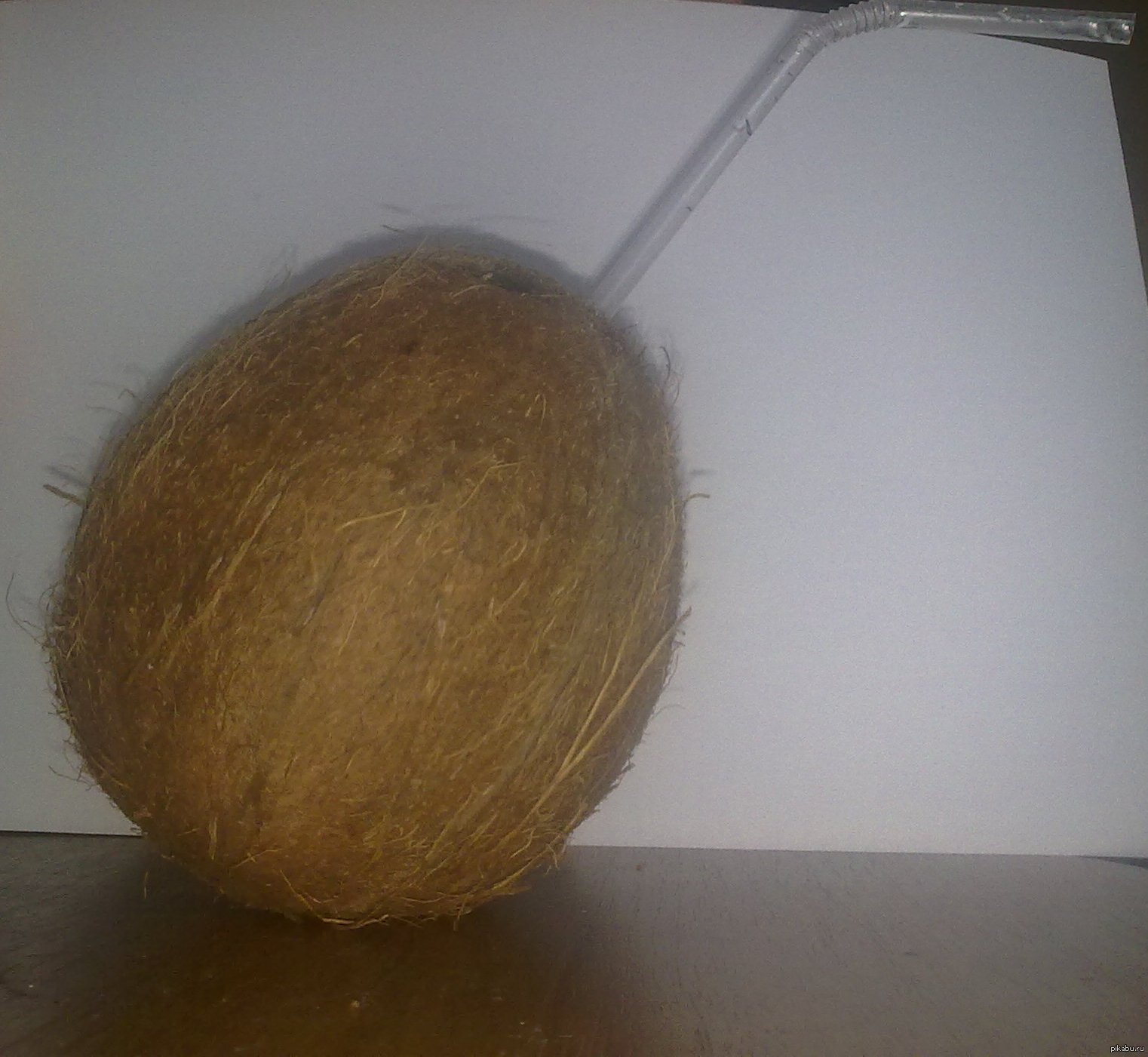 The cocktail is ready :) Do you like coconuts? what do you prefer to eat them with? - NSFW, My, Food, Coconut