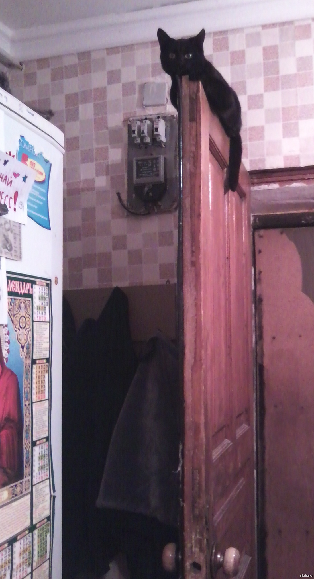 У вас такое бывает? | Пикабу