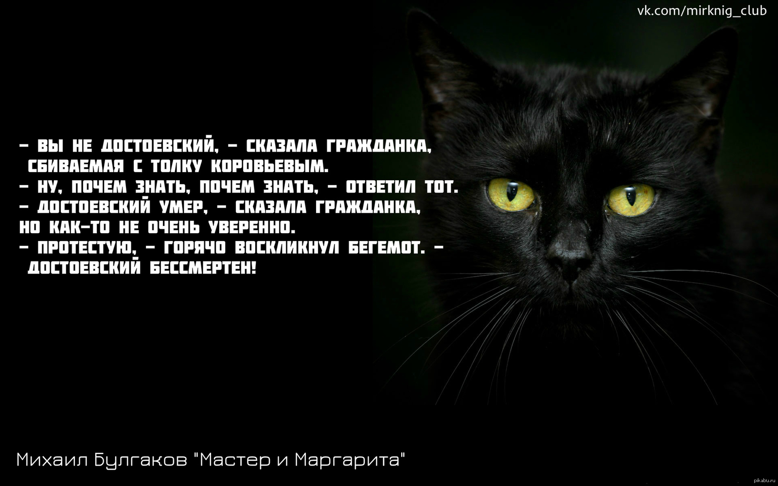 Тайны черной кошки