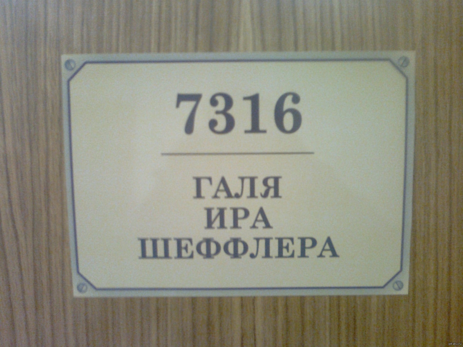 Кто-кто? | Пикабу