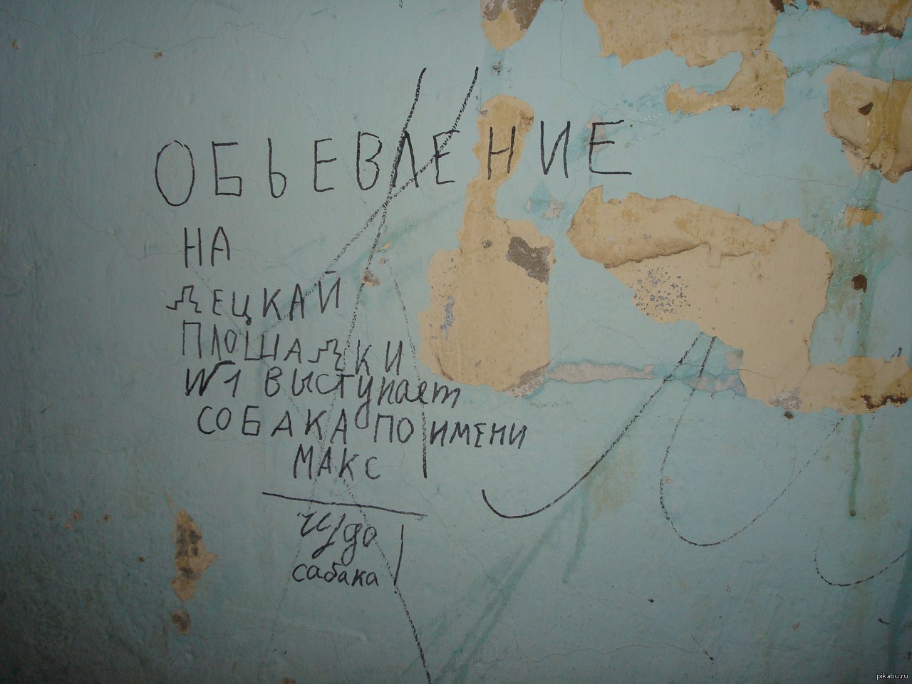 Чудо-надпись:) | Пикабу