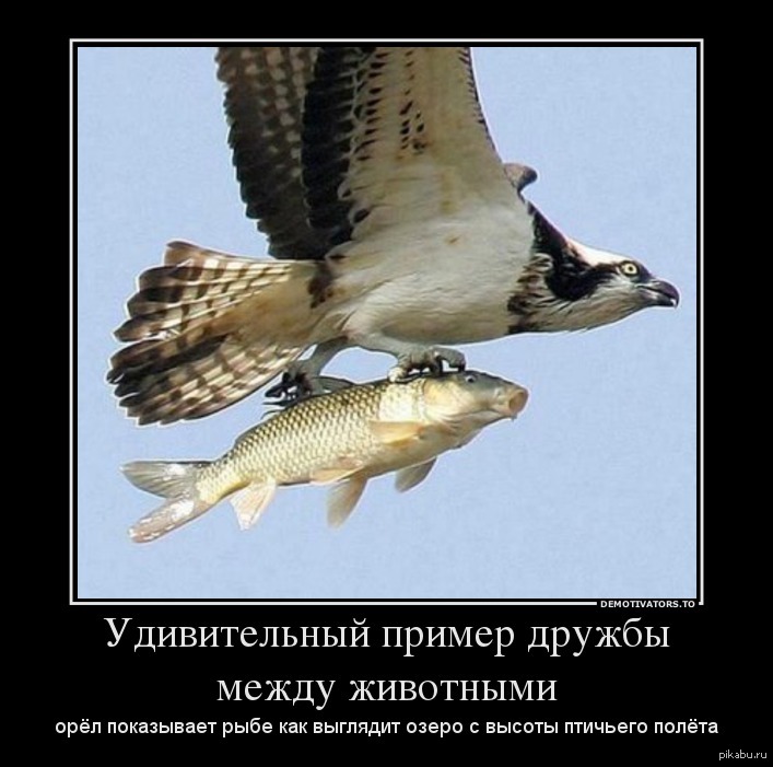 1367266765_784442955.jpg
