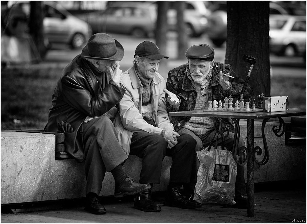 Жанровое фото примеры