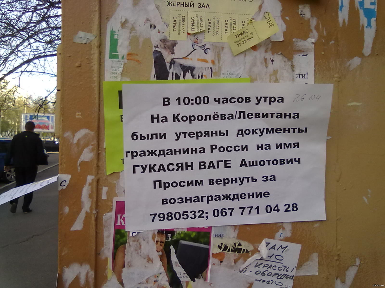 Коренной житель | Пикабу