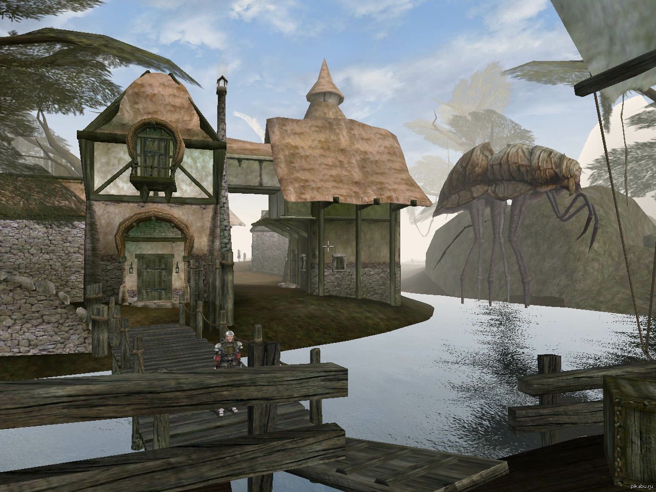 The elder scrolls iii morrowind. Сейда нин the Elder Scrolls 3. The Elder Scrolls морровинд. Tes 3 морровинд.