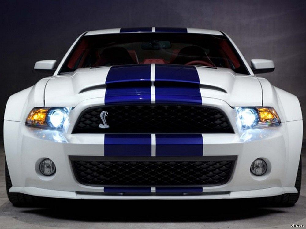 Shelby mustang gt500. Mustang Shelby gt500. Тюнингованный Форд Мустанг Шелби gt 500. Shelby gt500 тюнингованный. Ford Mustang Shelby gt 500 тюнинг.