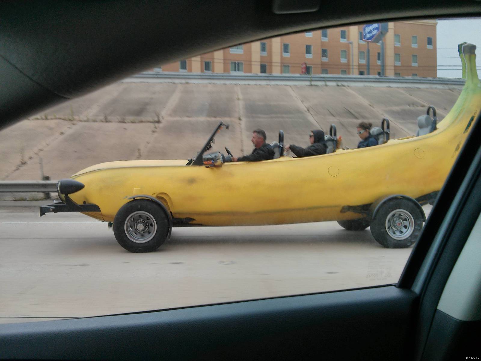 No time to explain - get in the banana!! - Addiction, Banana, Stubbornness, Auto, Unusual