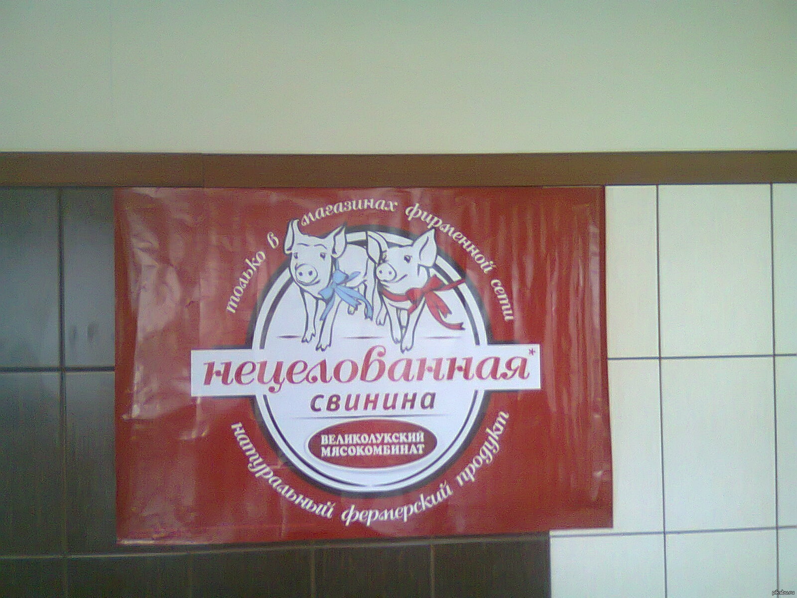 Мем Нецелованная Свинина