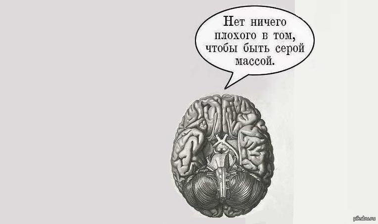 Почему мозг хуже. Мозг прикол. Мозг смешные картинки. Мозг картинки прикольные. Серый мозг.