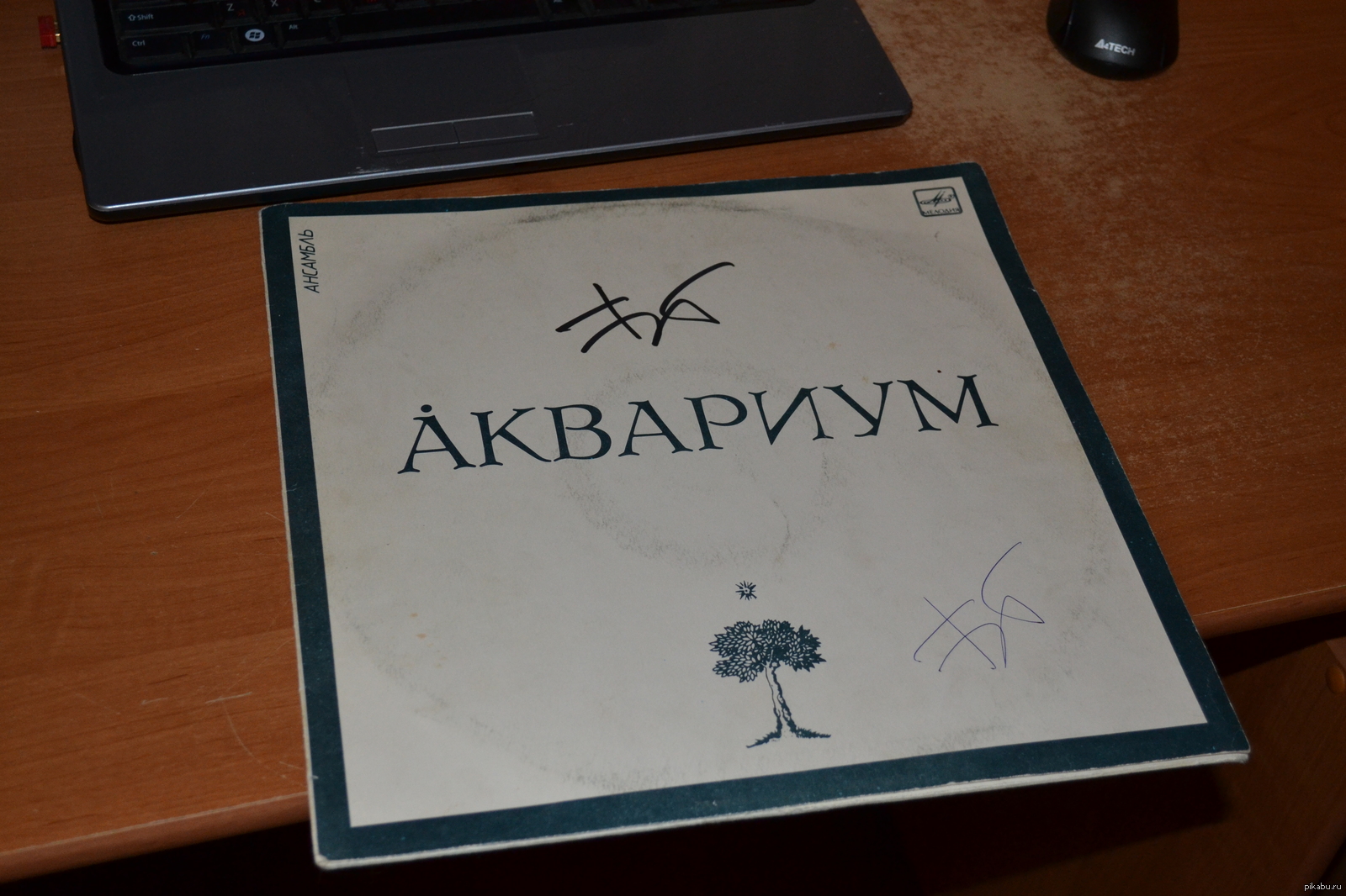 Автограф БГ в мою коллекцию:) | Пикабу