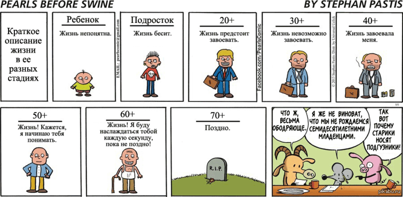 2 жизни описание. Этапы жизни прикол. Стадии человеческой жизни приколы. Картинки приколы жизни с описанием. Юмористическое описание жизни.