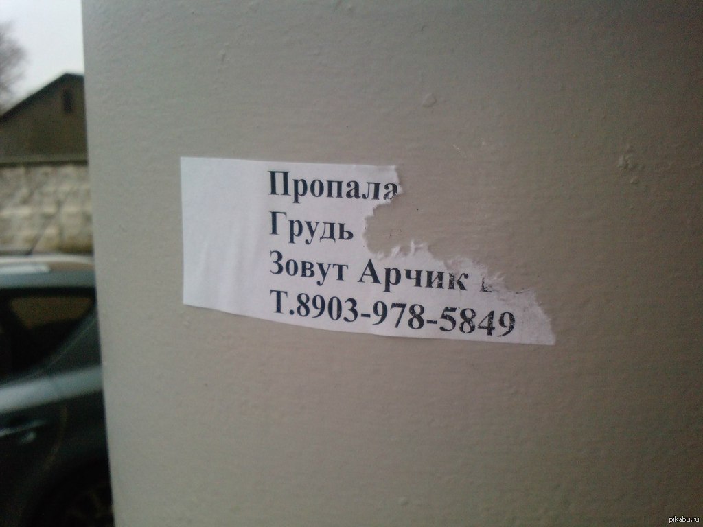 Пропало грудное. Потерялась грудь. Потерялись титьки объявление. Пропали сиськи объявление. Объявление прикол сиськи.