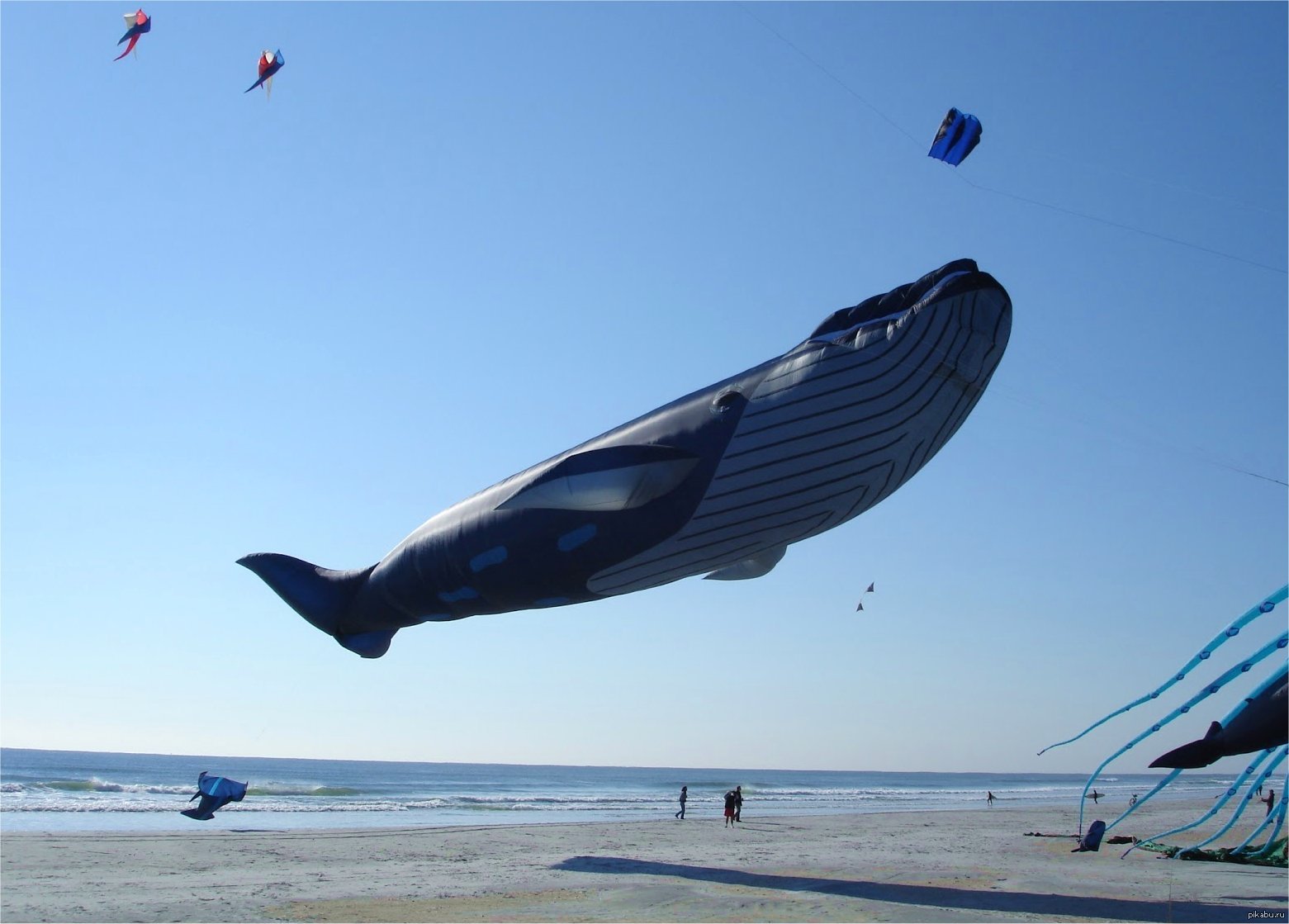Летающий кит в небе