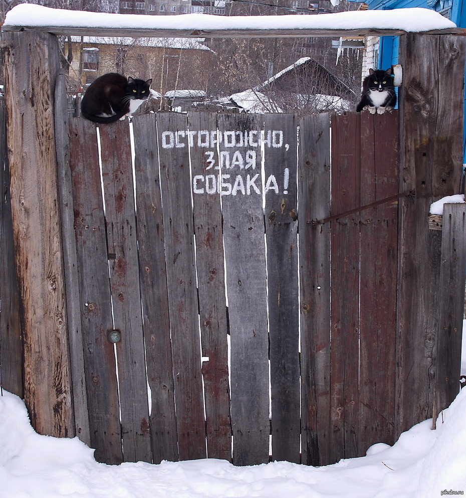 На заборе написали что твой парень песня. Прикольные надписи на заборе. Смешные надписи на заборах. Прикольный забор. Надписи на заборе приколы.