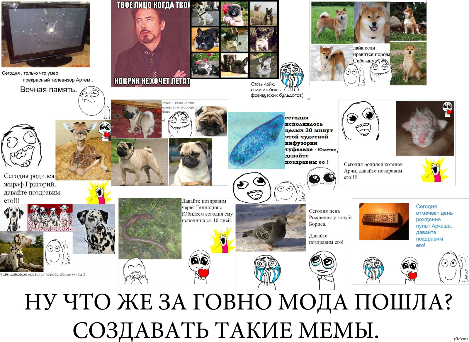 За***ло | Пикабу