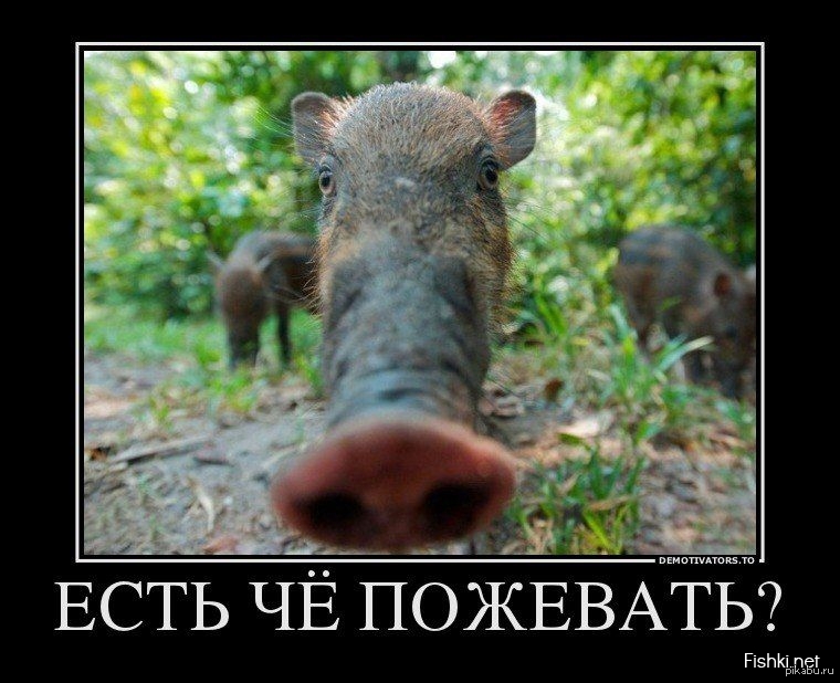 Улыбнуло) | Пикабу