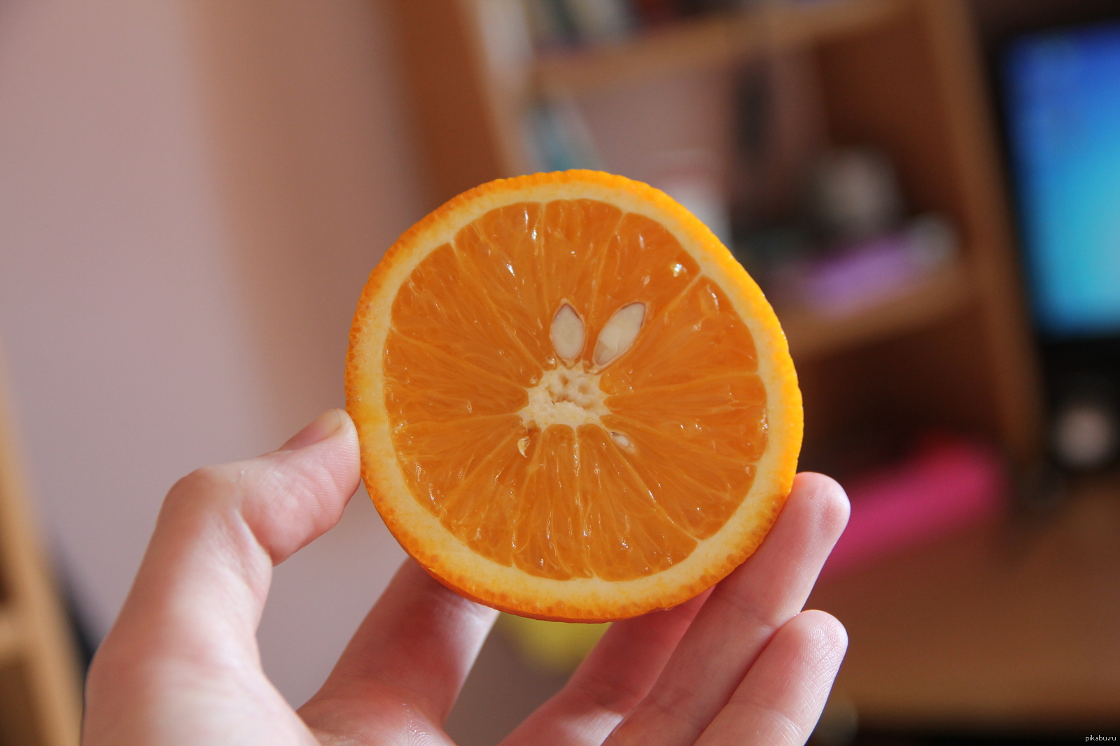 Пословица не родятся апельсинки. Смешной апельсин. Апельсин прикол. Упоротый апельсин. Апельсин Мем.