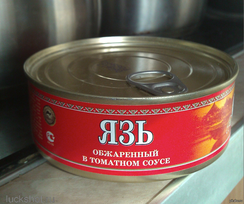 А у меня яяяаааазь есть! | Пикабу