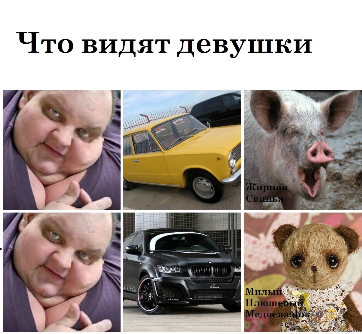 Жирная свинья сладкий медвежонок