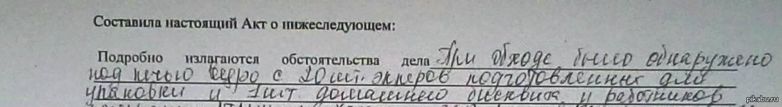 Объяснительная | Пикабу