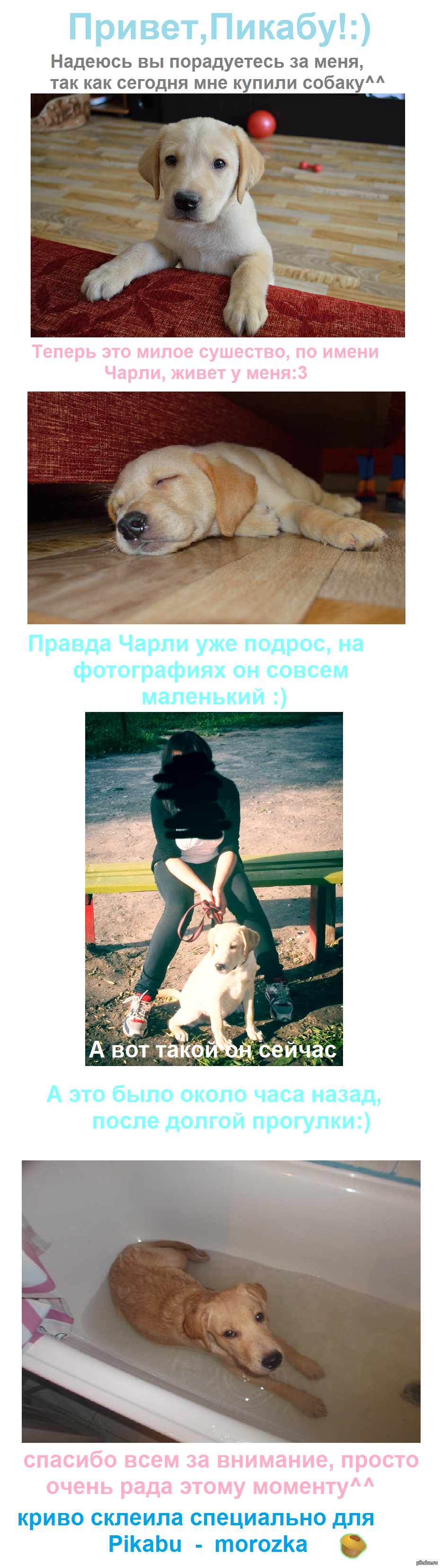 very, very happy day ^^ - My, Longpost, Dog