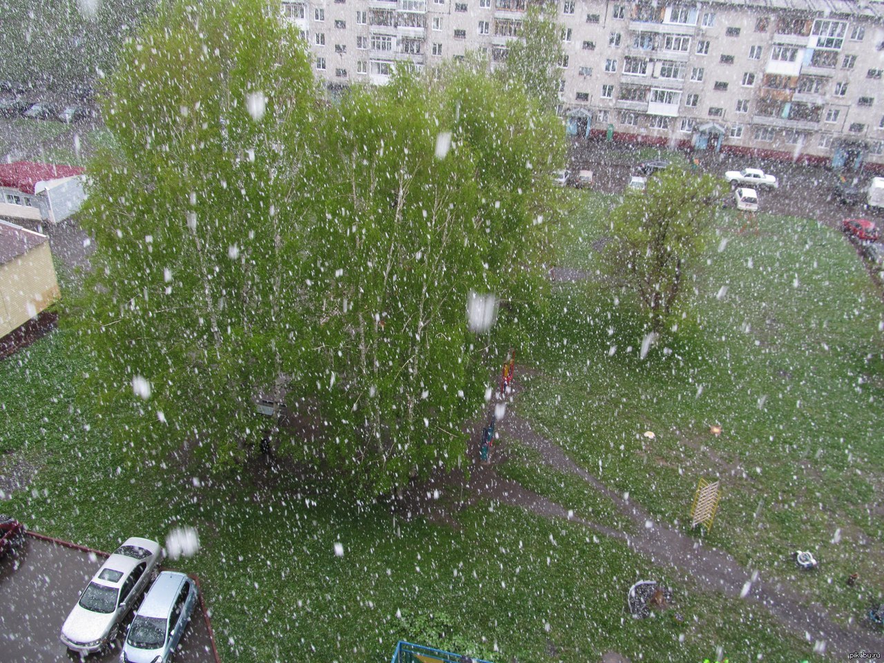 Теплый летний снег. Снег в июне. Снег в июне в Москве. Снег летом. Снег летом в июне.