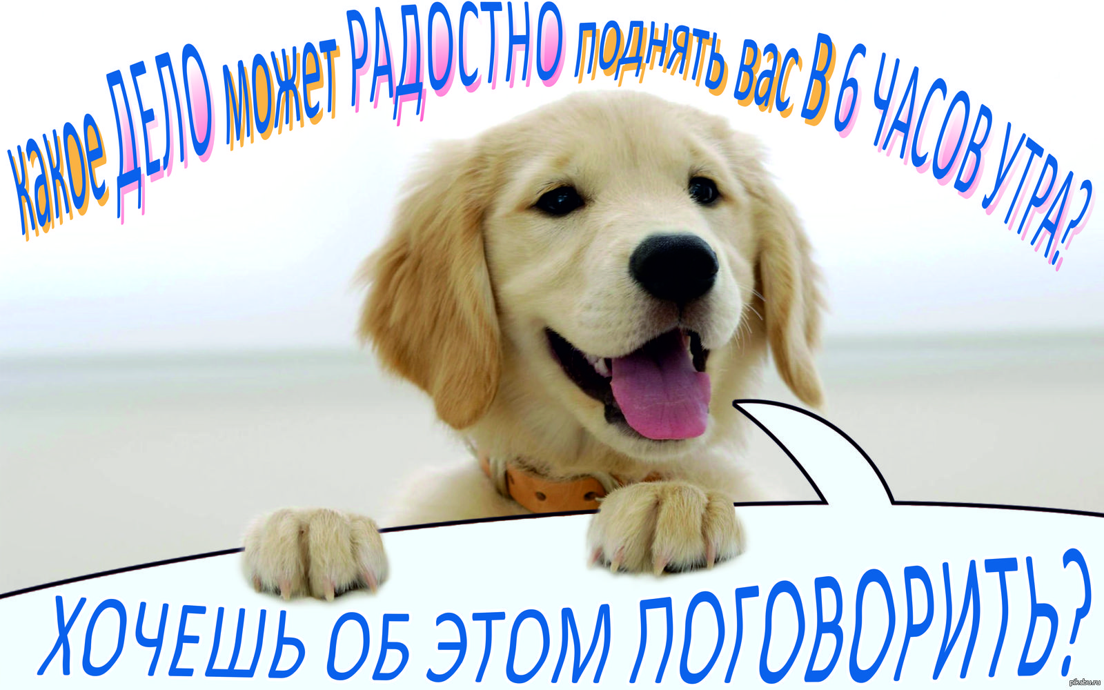 представьте: денег много. на работу можно не идти. что тогда делать? |  Пикабу