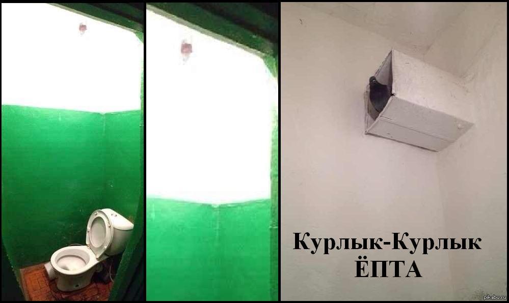 Узбикен курлык мурлык перевод на русский. Курлык ёпта. Голубь курлык епта. Курлык курлык курлык епта. Курлык курлык епта картинка.