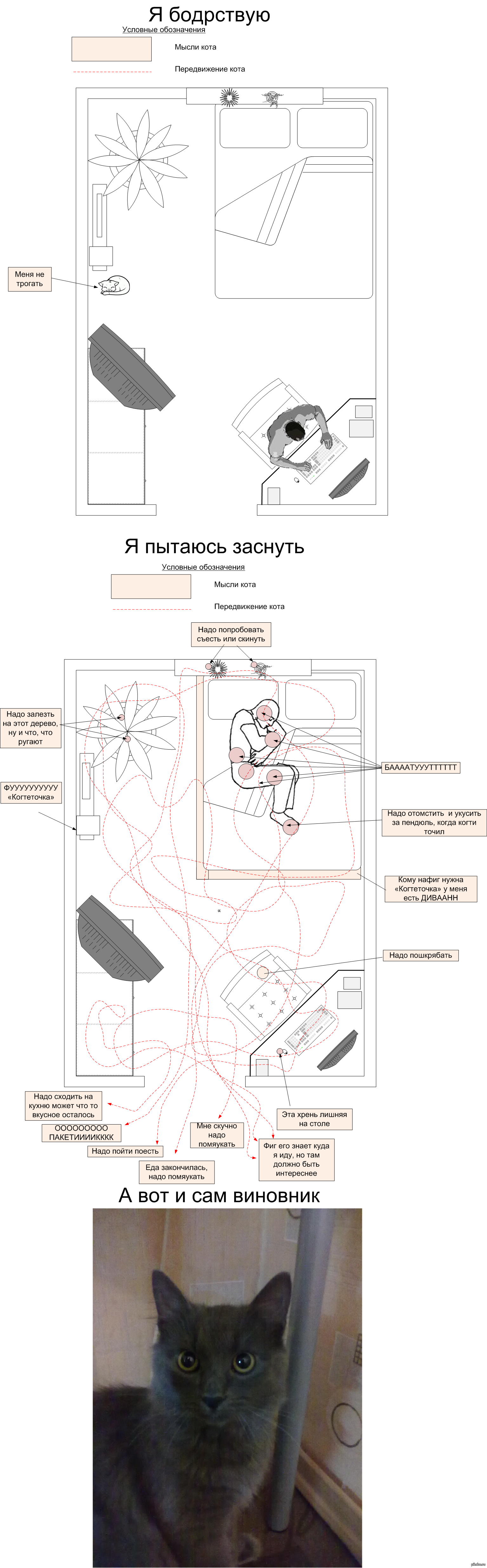 Принципиальная схема котэ