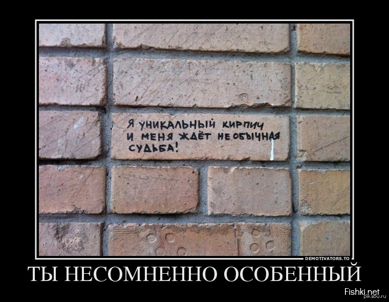 Несомненно это. Шутки про кирпич. Я уникальный кирпич. Смешные шутки про кирпич. Демотиватор кирпич.