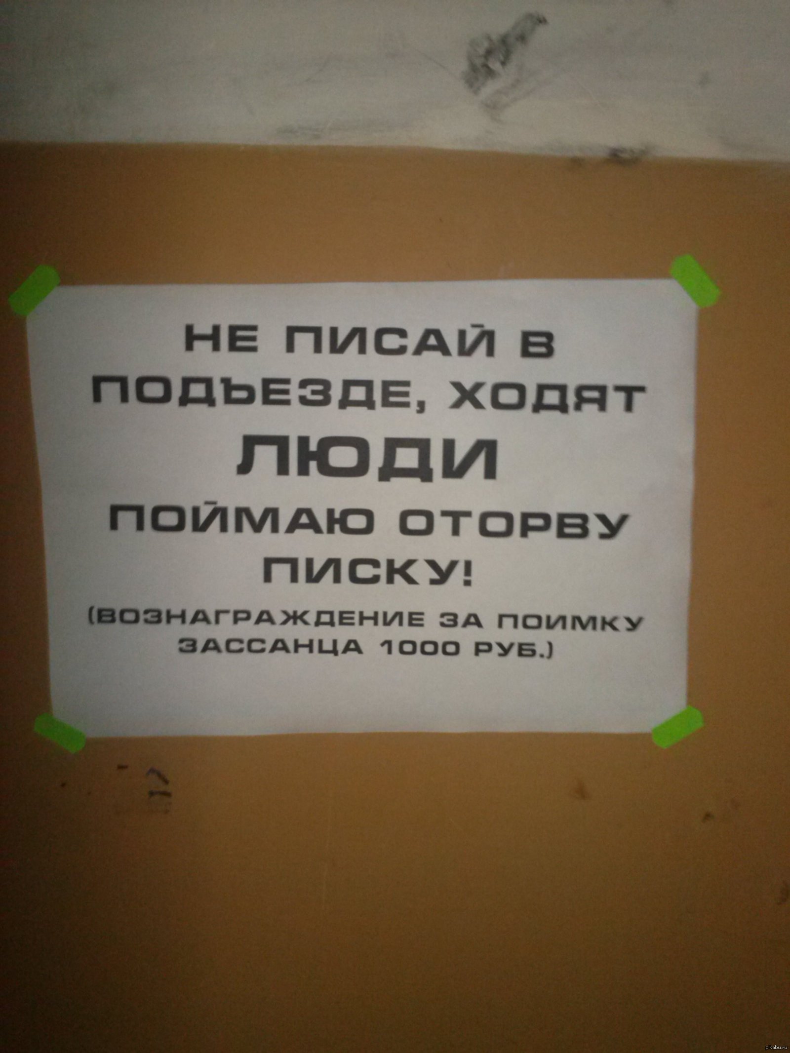 Картинки объявления в подъезде