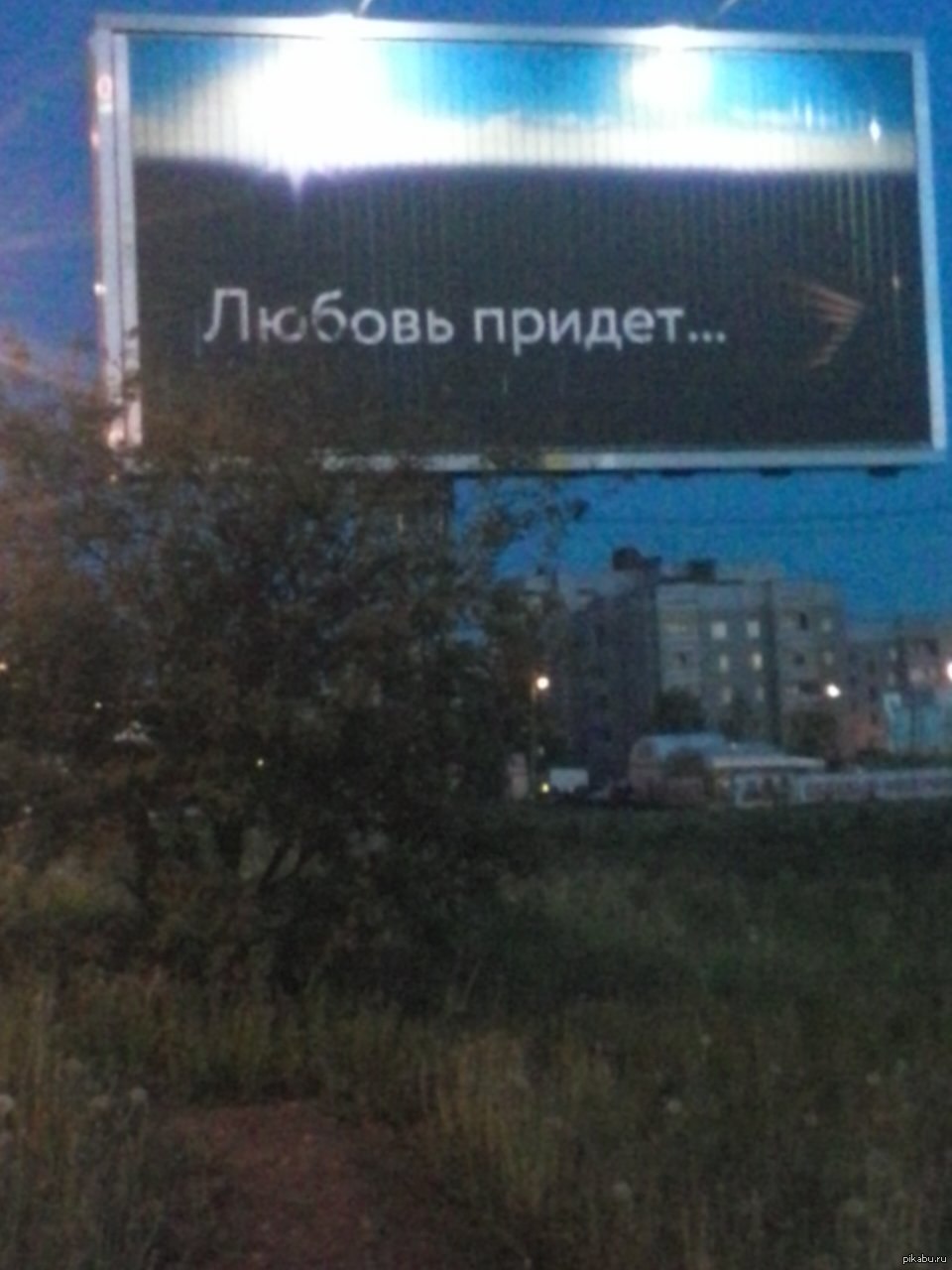 Такие баннеры по всему городу. | Пикабу