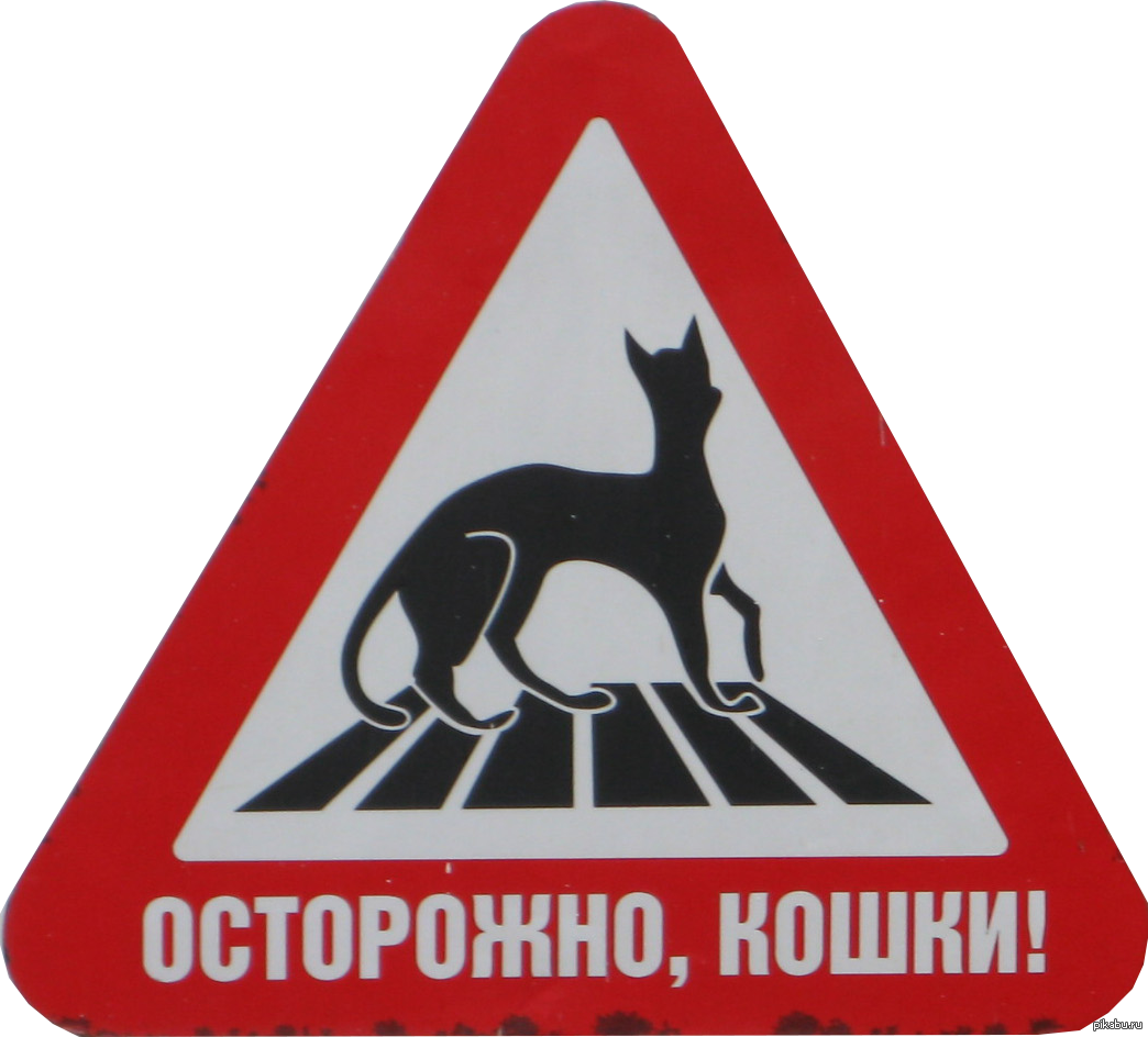 Такой знак действительно существует ^^ | Пикабу