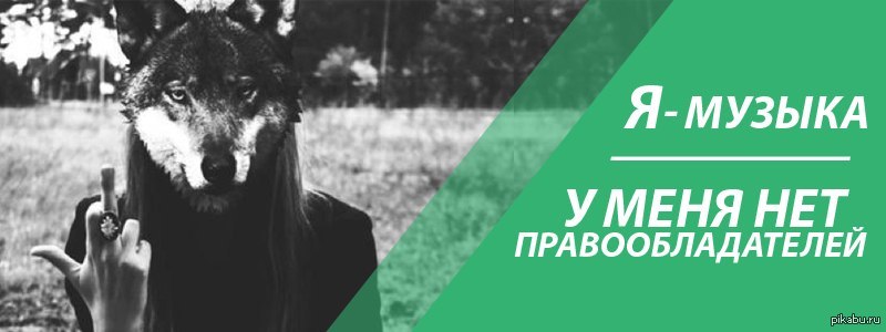 Правильно высказывание | Пикабу